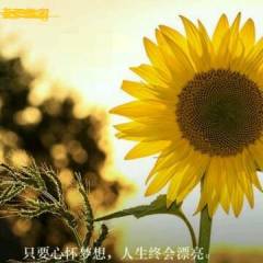 高考數(shù)學分享者